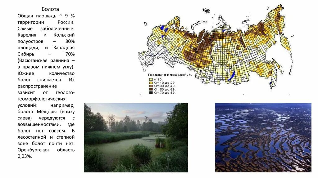 Карта болотистых. Заболоченные территории России на карте. Карта распространения болот в России. Площадь болот на территории России. Наиболее Заболоченные территории Западной Сибири.