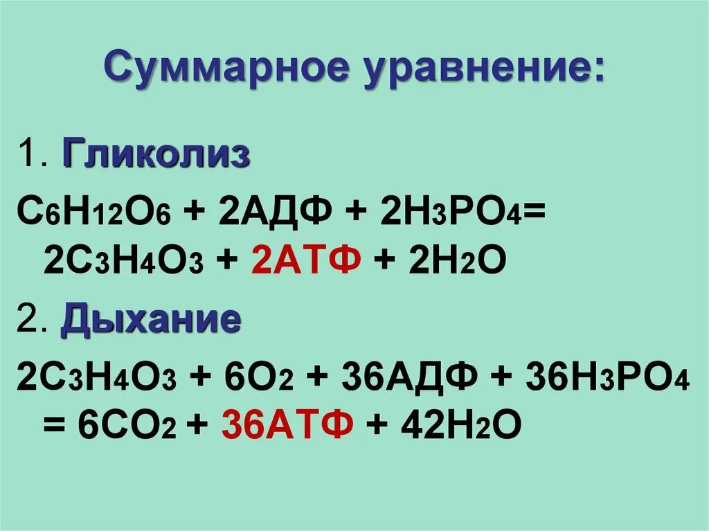 C o2 химия