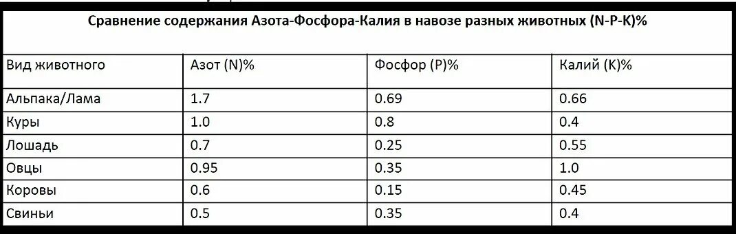 Количество фосфора в почве. Содержание фосфора в навозе. Содержание азота фосфора и калия в навозе. Содержание фосфора и калия в почве. Содержание калия в навозе.