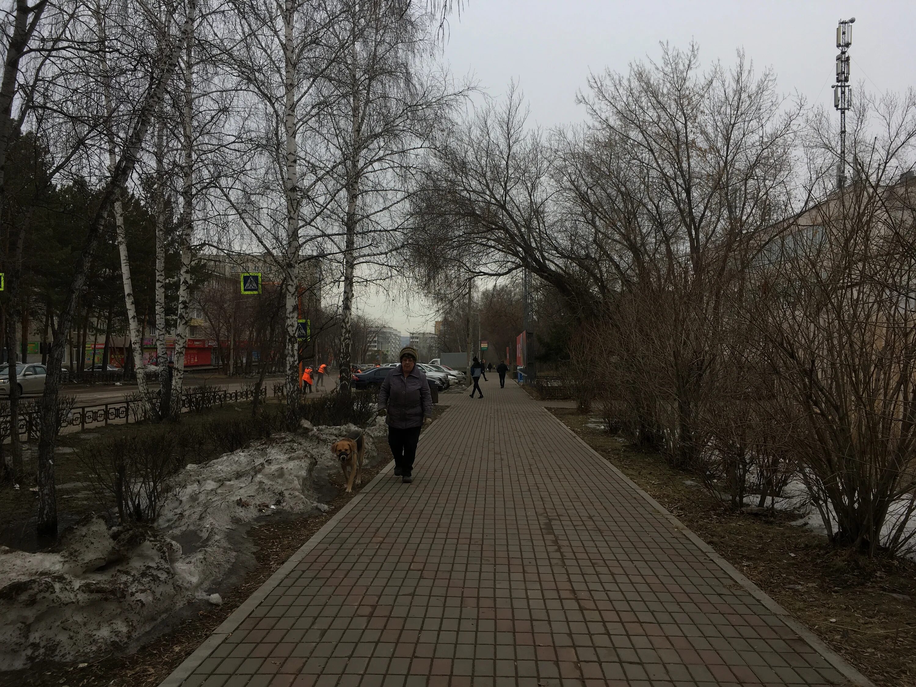 9 Мая в городе Сосновоборске. Погода Сосновоборск Красноярский. Сосновоборск дождь. Погода Сосновоборск сегодня.