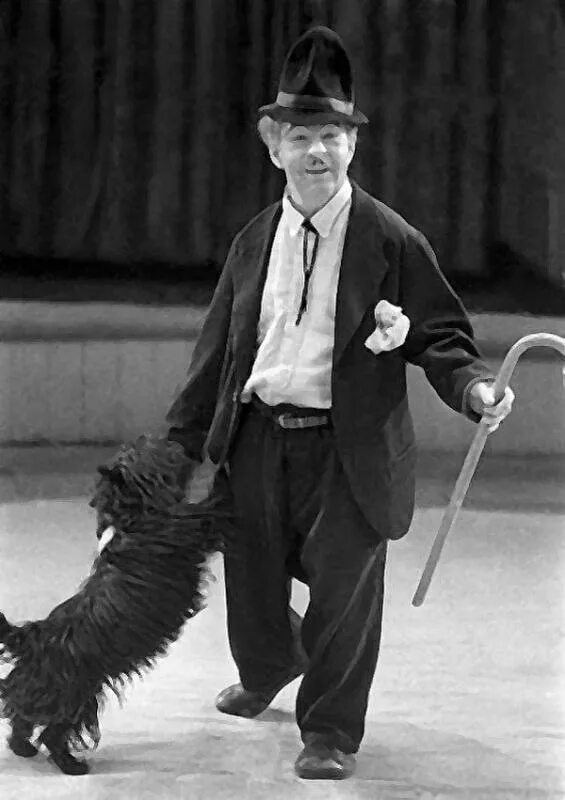 собака карандаша клякса порода. клякса собака карандаша. хвост шотландского терьера. клякса собака карандаша. клоун карандаш и его собака клякса.