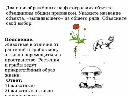 Эти дни из общего