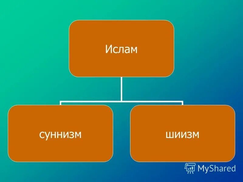 Кто такие сунниты в исламе. Суннизм и шиизм.