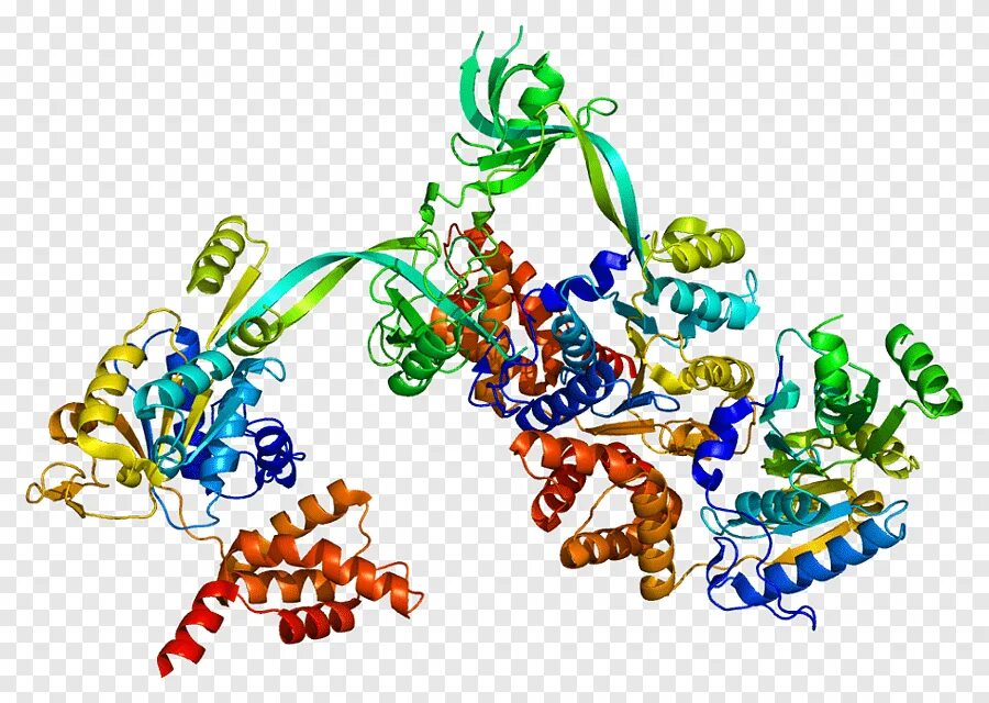 Связана с белками гистонами. Гистоны ДНК. Гистоновые белки. ДНК И белки гистоны. Структура гистоновых белков.