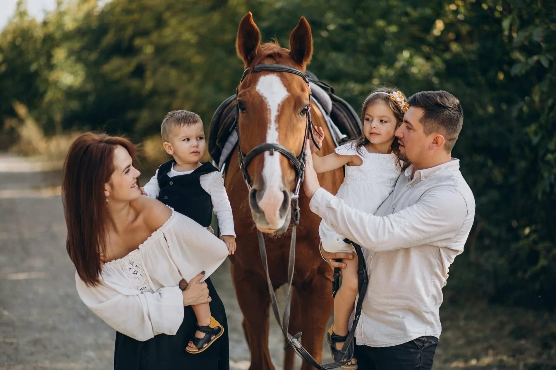 Horse family