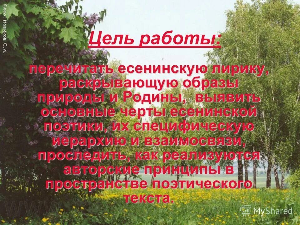Рефераты природа