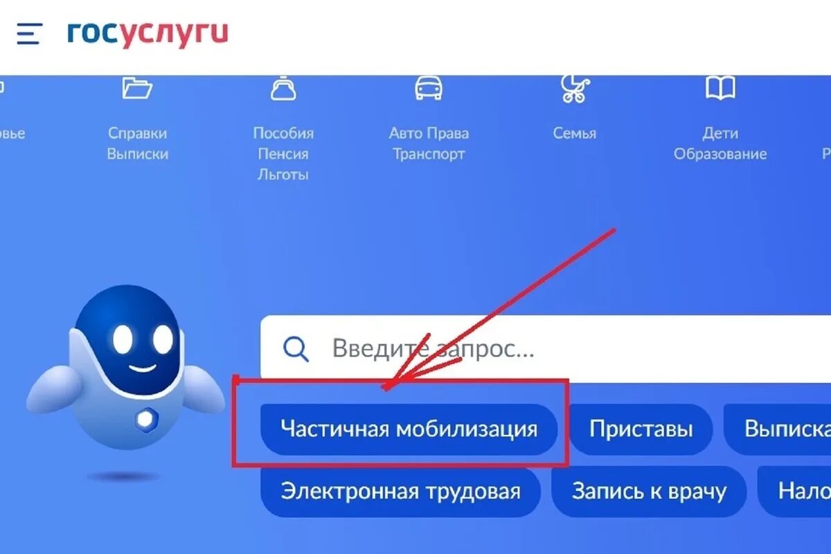 Госуслуги добровольцы сво. Госуслуги мобилизация. Записаться добровольцем через госуслуги. Госуслуги частичная мобилизация. Заявка в добровольцы госуслуги.