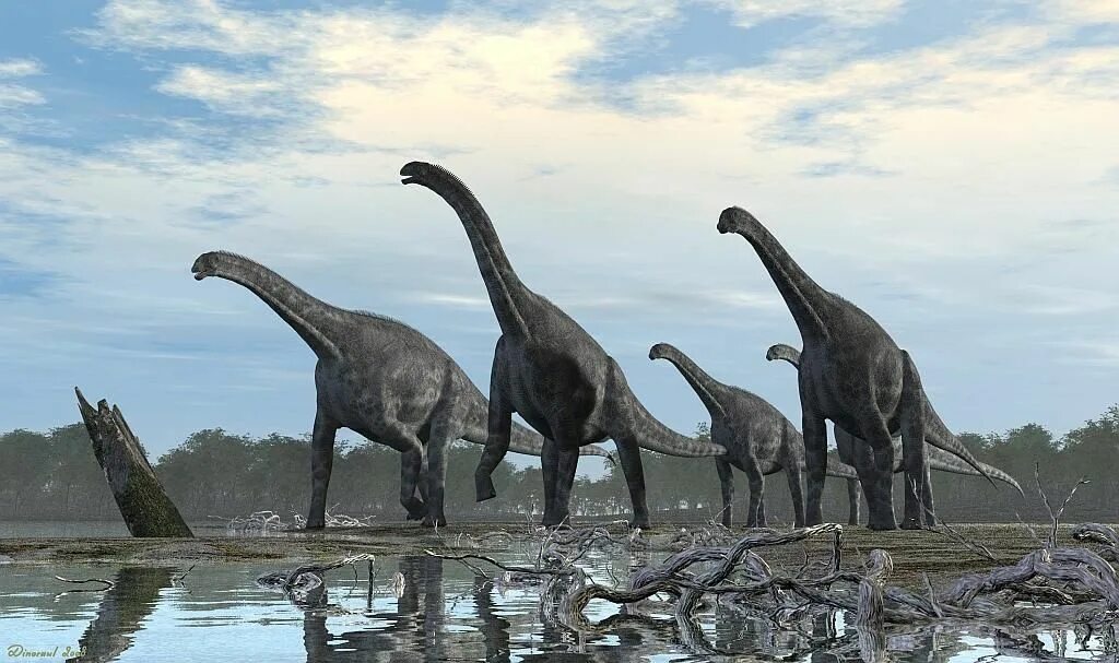 Длинношеий динозавр. Диплодок Аргентинозавр. Динозавры Диплодок Бронтозавр. Титанозавр зауропод. Зауропод динозавр.