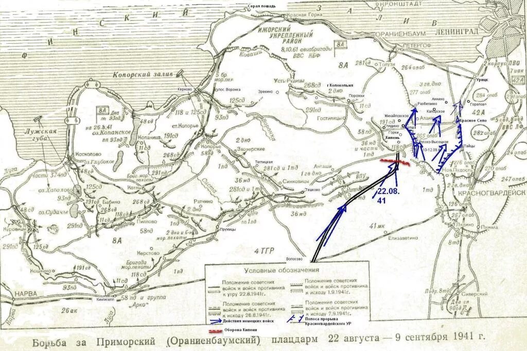 Ораниенбаумский плацдарм 1941 карта. Карта боевых действий ВОВ 1941. Карта Ораниенбаумского плацдарма Военная. Карта боёв 1941. Военная хроника карта