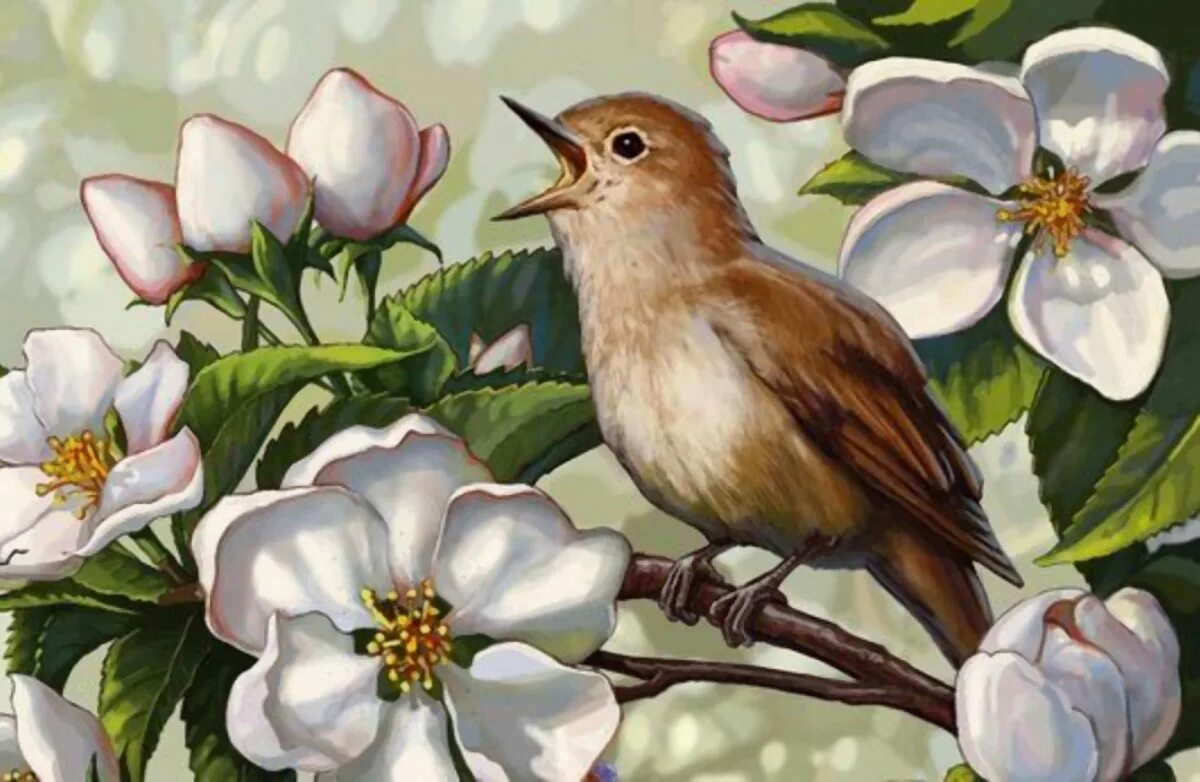 Сьюзен Бордет Воробей. Птицы весной. Птица на ветке. Картина птицы.