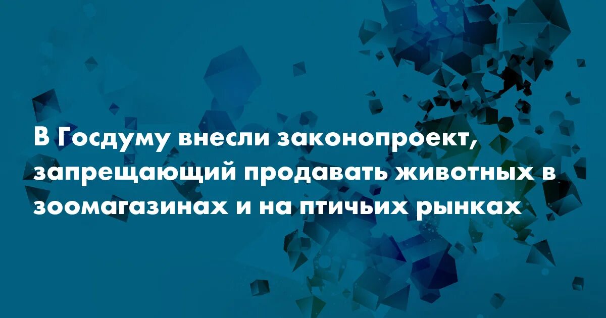 Законопроект о запрете животных. Законопроект о запрете животных