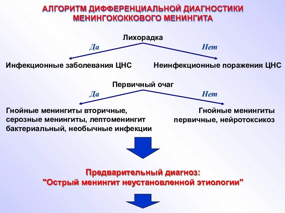 Диагностика менингококкового менингита. Алгоритм выявления менингококковой инфекции. Менингококковая инфекция патогенез схема. Тип лихорадки при менингококковой инфекции. Алгоритм диагностики менингококковой инфекции.