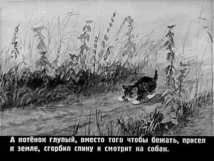 В каких произведениях герой котенок
