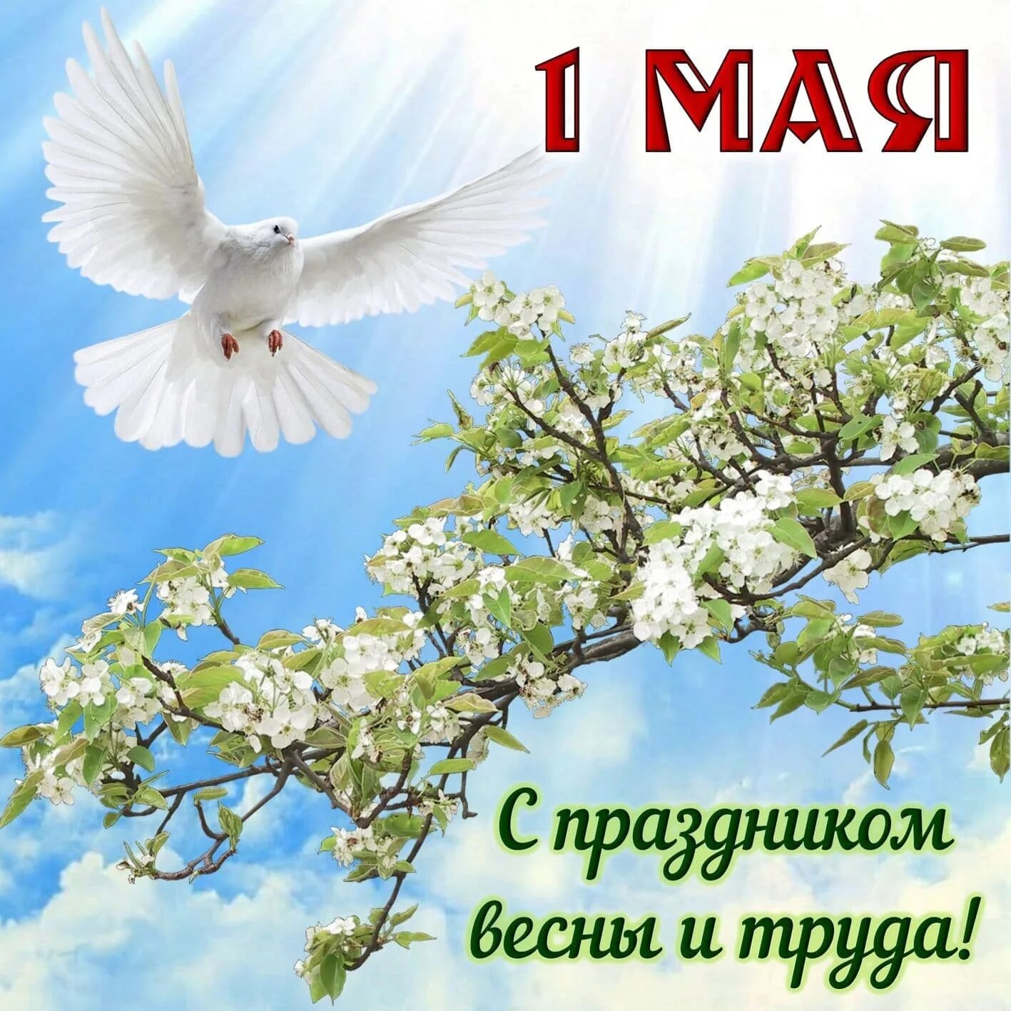 Доброе 1 мая с праздником. Поздравление с 1 мая. открытки с 1 мая. 1 мая праздник весны и труда. с праздником весны и ипуда.