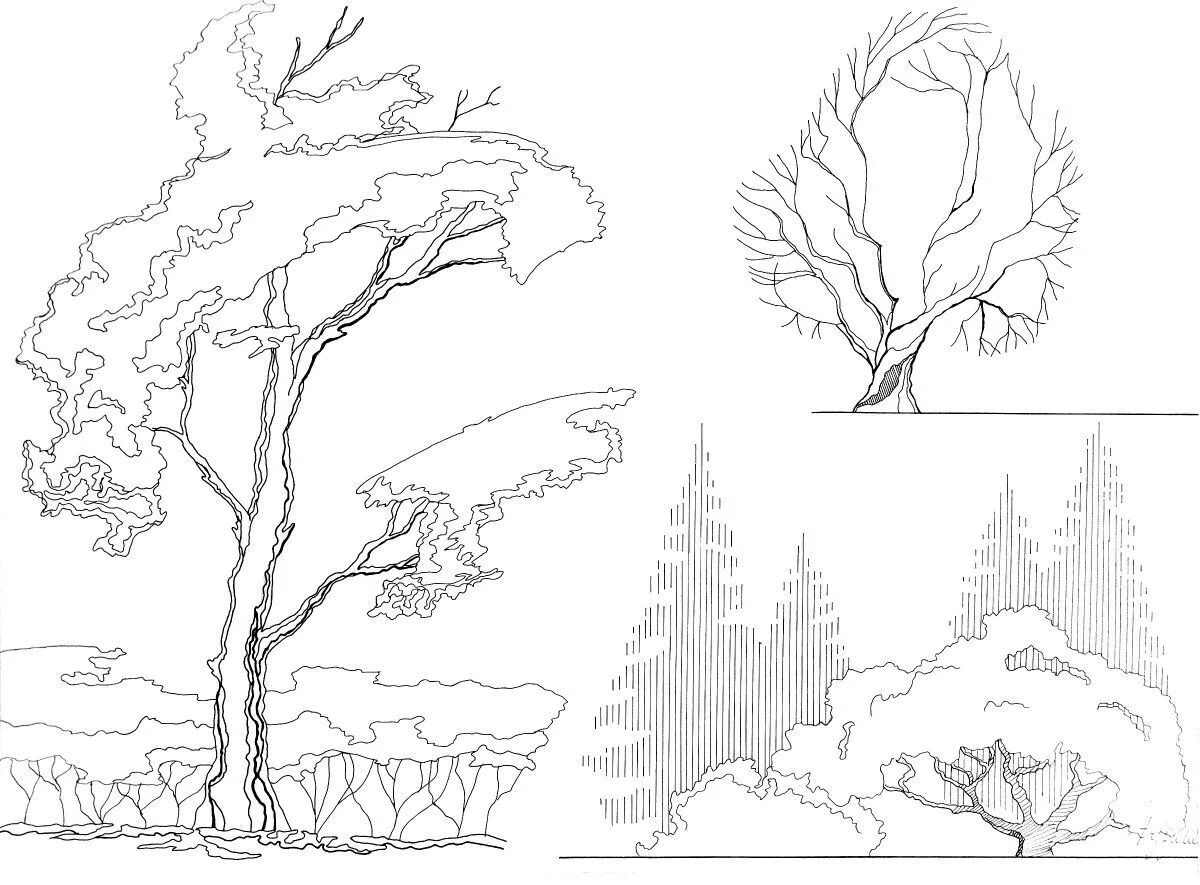 Дерево чертеж. Антураж стаффаж деревья. Стаффаж антураж деревья кусты. Стаффаж антураж деревья лес. Антураж стаффаж Графика.