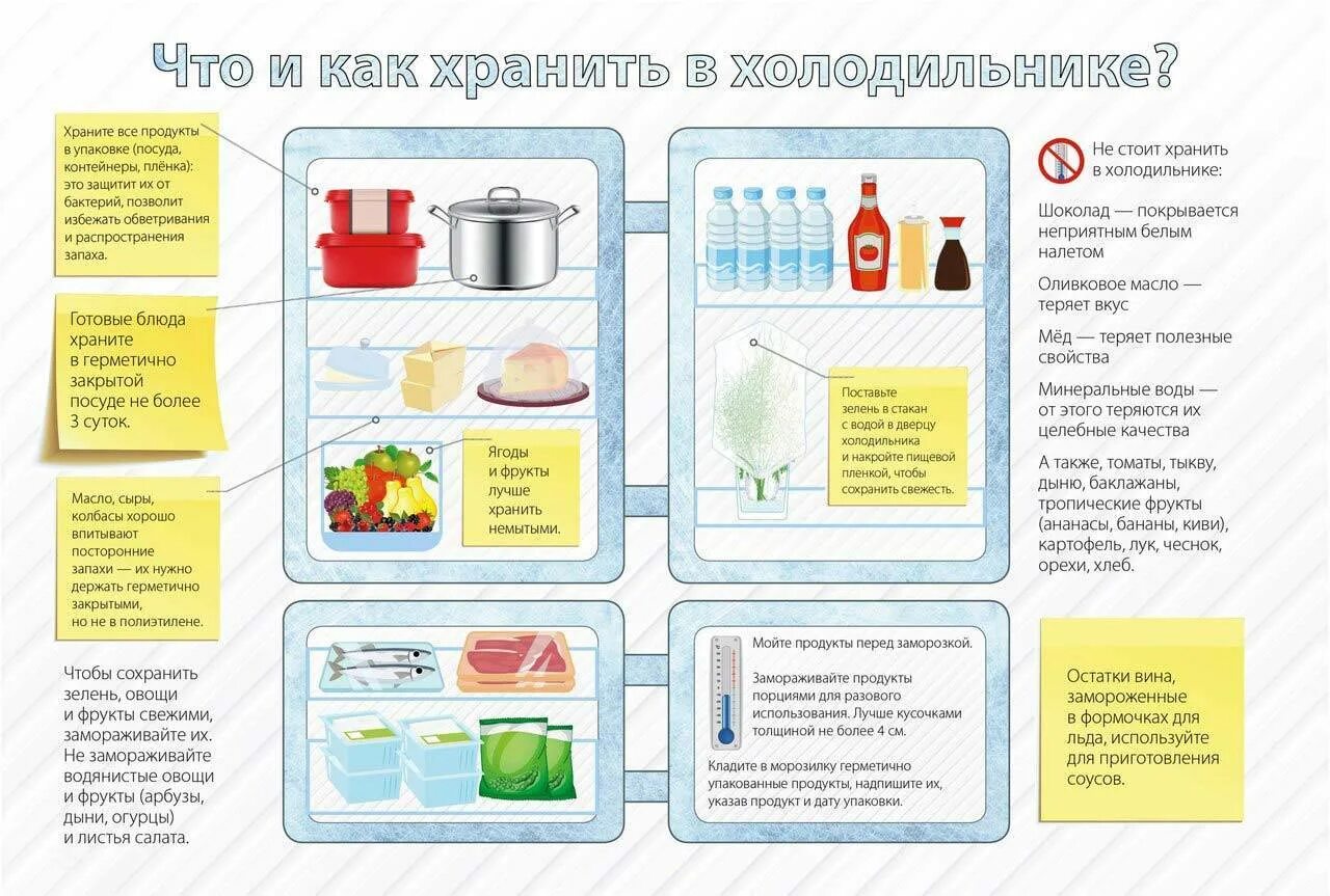 Сколько хранят мочу в холодильнике. Хранение продуктов в холодильнике. Порядок хранения продуктов в холодильнике. Правильное хранение продуктов в холодильнике. Правильное распределение продуктов в холодильнике.