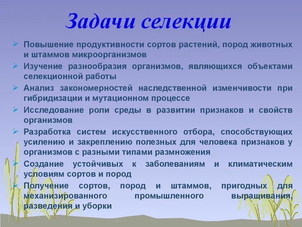 Главная задача селекции изучение строения. Задачи и методы селекции. задачи селекции. селекция задачи селекции. задачи селекции растений.