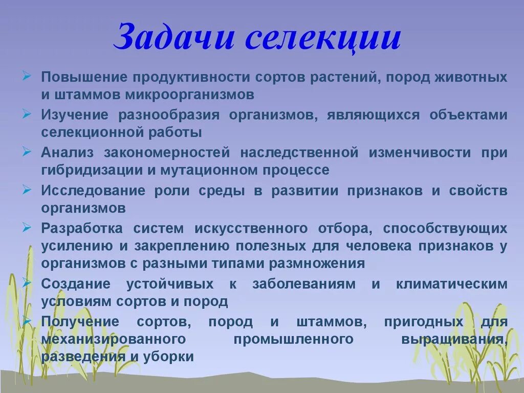 Задачи селекции. Селекция задачи селекции. Задачи и методы современной селекции. Задачи современной селекции животных.