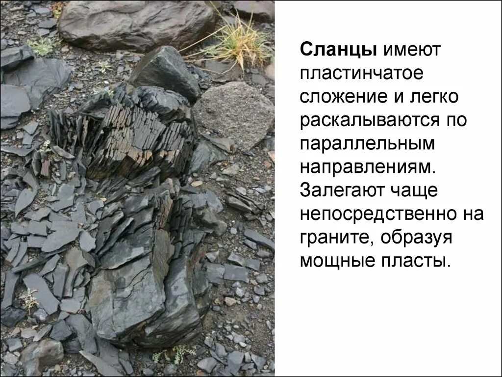 Глинистые сланцы горная порода. Сланцы горные породы. Сланец происхождение горной породы. Сланец происхождение горной породы. Сланец происхождение горной породы.