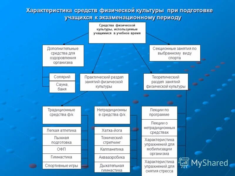 Спортивные услуги характеристика