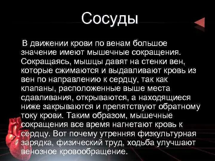 Какое значение имеет боль для человека. Какое значение имеет кровь для организма человека. Какое значение для человека имеют мышцы. Передвижение крови по венам при сокращении мышц. Шайтан по венам человека.