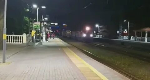 Ласточка адлер дагомыс