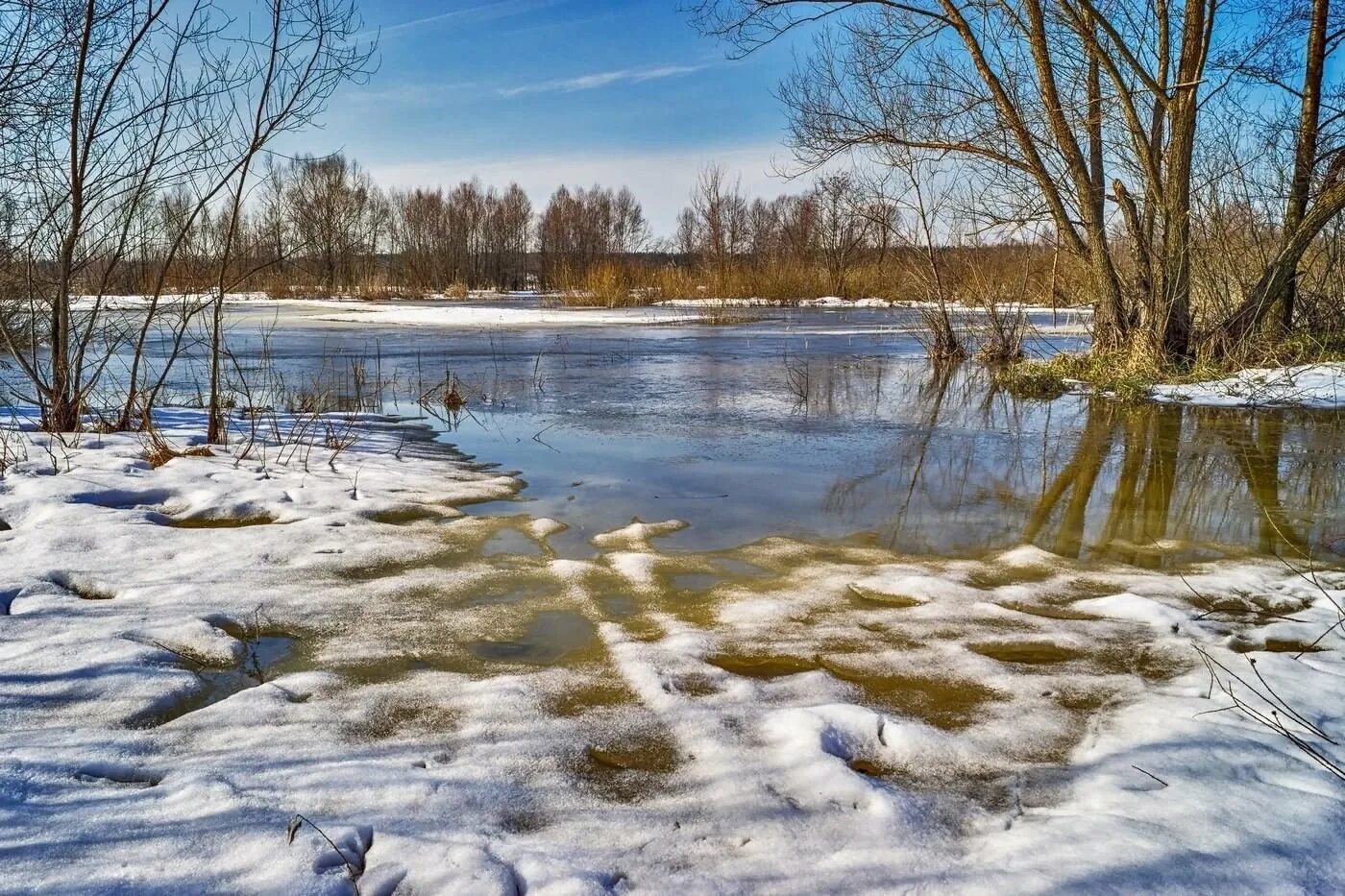 Желтая вода весной. Весенние воды. Весенний пейзаж.