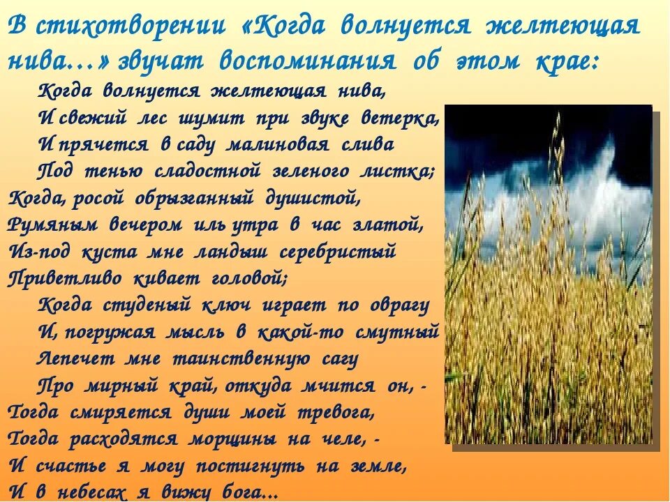 Стихотворение желтеющая нива анализ. М.Ю.Лермонтова "когда волнуется желтеющая Нива...". Стихотворение Лермонтова желтеющая Нива. Желтеющая Нива Лермонтов стих. Жёлтая Нива Лермонтов.