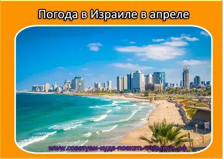 Температура в израиле