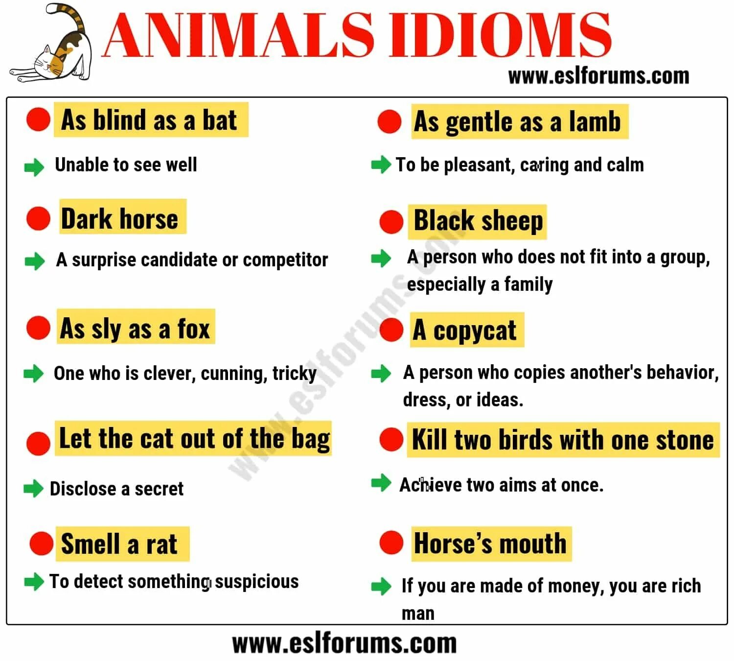 Speak idiom. Animal idioms. Idioms with animals. Animal idioms in English. Speaking idioms.