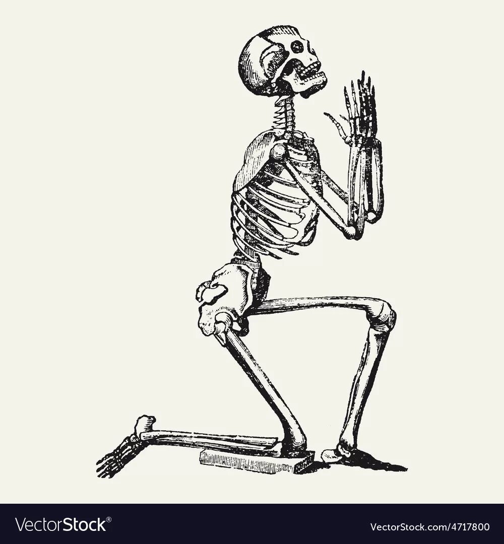 эскизы тату скелет. пин скелета. скелет молится. пин скелета.