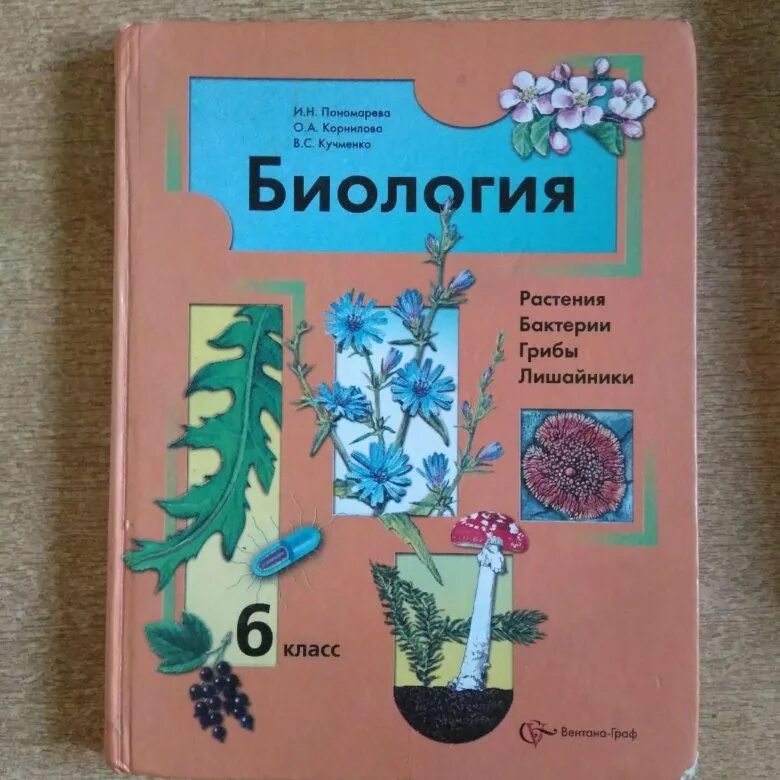Биология 6 класс учебник сивоглазов плешаков. Учебник. Биология. Биология 6 класс учебник сивоглазов. Биология 6 класс пономарева.