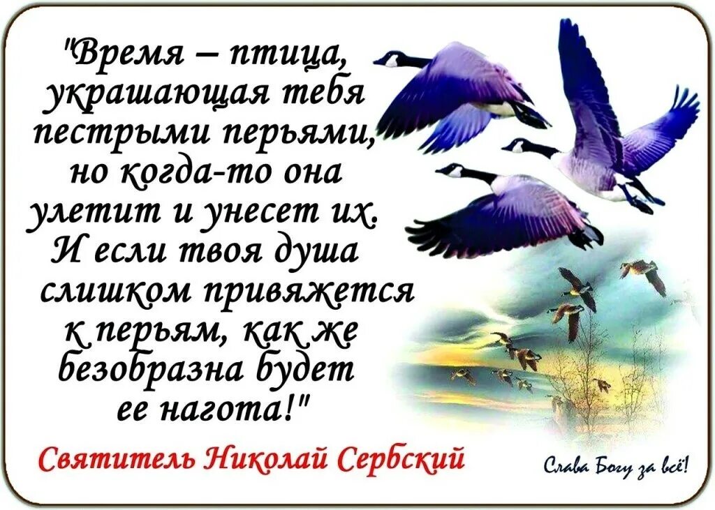 слова песни синяя птица. песня время птицей. осеннее прощание. россия природа журавли. песни про птиц текст.