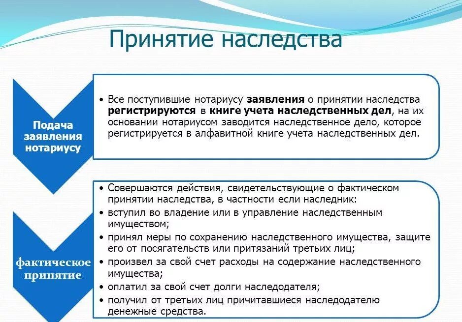 Фактическое принятие гк рф. Каков порядок принятия наследства. Порядок принятия наследства схема. Последовательность стадий принятия наследства. Алгоритм действий нотариуса при оформлении наследования.