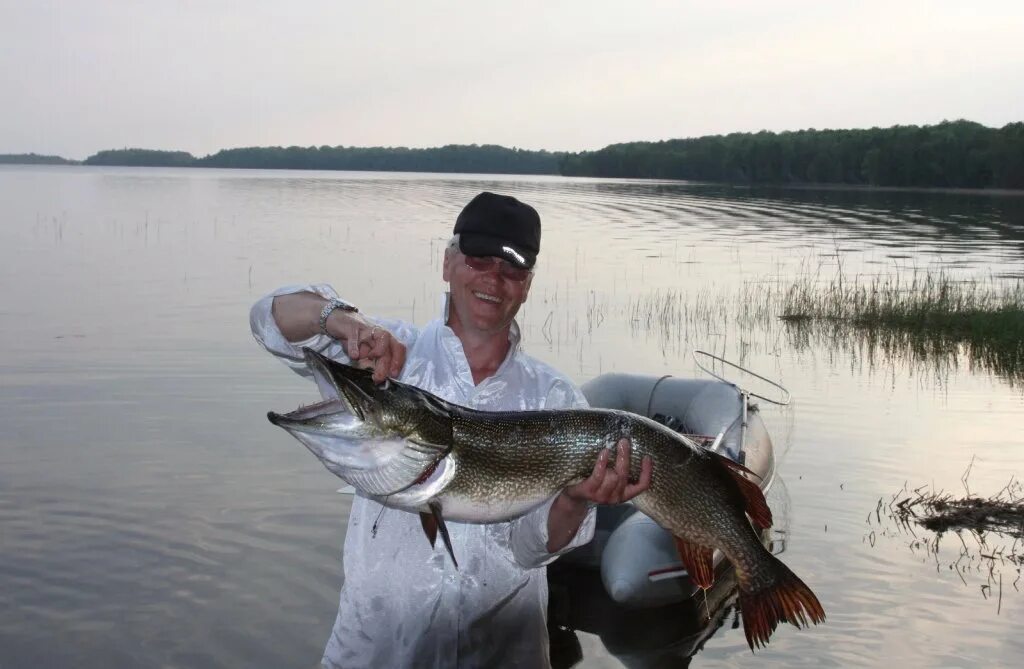 Какая рыба ловится в озере. Себеж рыбалка. Озеро Щучье Томская область. Щука. Поймал щуку.