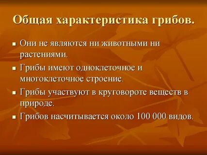 Охарактеризуйте грибы