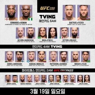 Прямой эфир ufc 308 матч тв