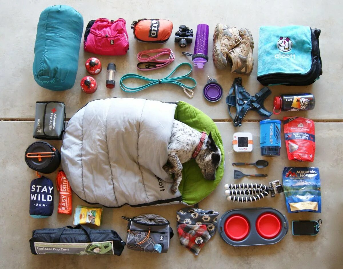 Вещи в походном состоянии. Вещи для похода. Необходимые вещи для похода. Вещи для кемпинга. Вещи в путешествие.