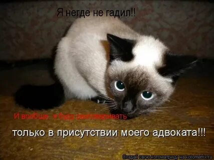Где б не носило