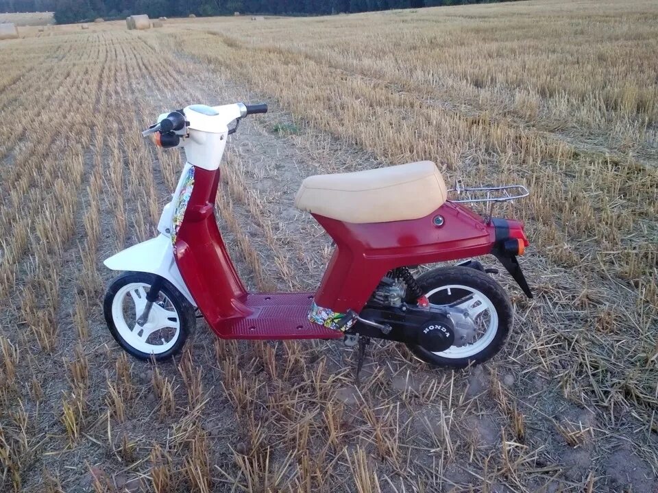 Honda eve. Honda eve smile 1984. Honda pax af-14. Honda eva. Honda 50 lite.