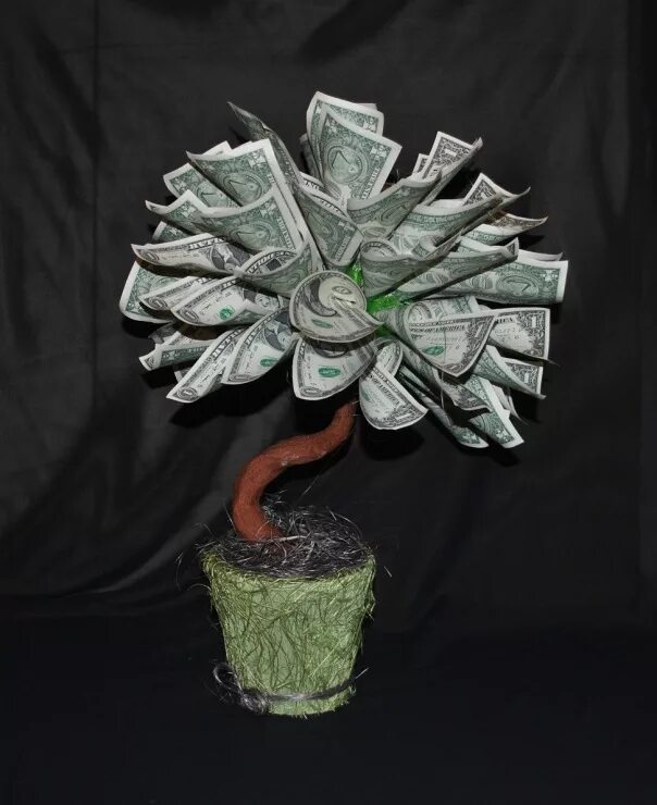 Дерево из купюр. Денежное дерево деньги бумажные. Топиарий из денежных купюр. Топиарий из купюр. Топиарий из денежных купюр.
