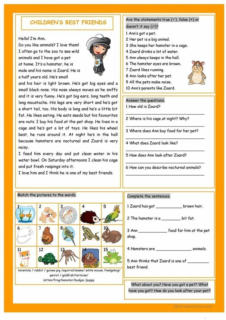 My best pet. Английский animals Pets Worksheets. Упражнения английский my Pet. Английский язык Pets tasks. Pets Worksheets for Kids.