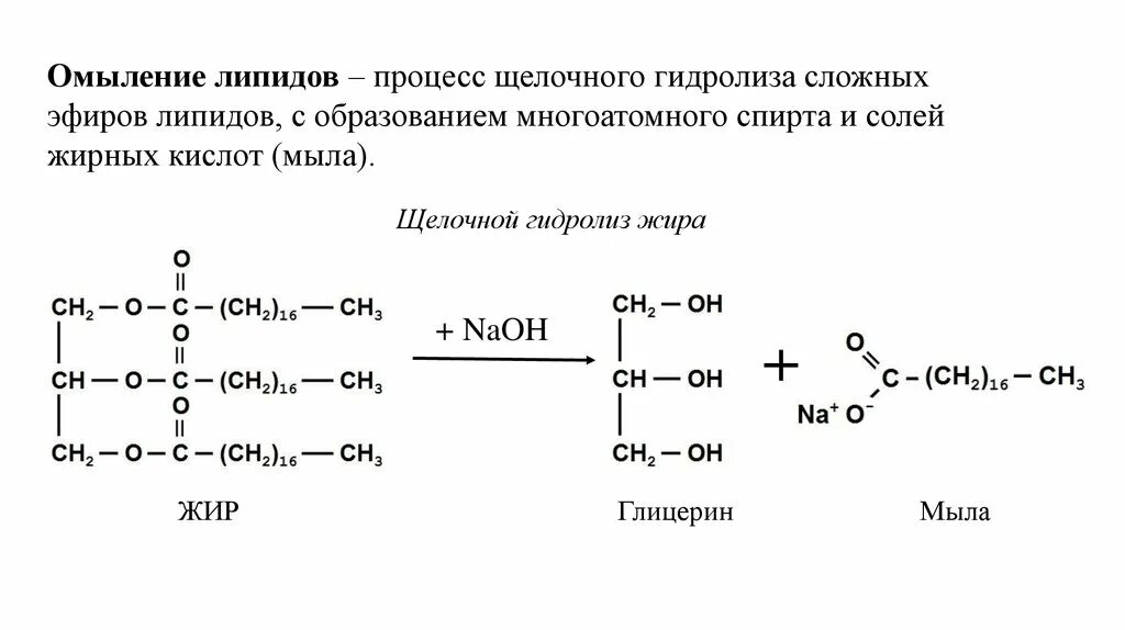 Щелочной гидролиз фосфолипидов реакция. Реакция омыления жирных кислот. Реакция омыления липидов. Реакция гидролиза жира.