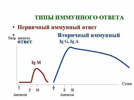 Иммунный титр