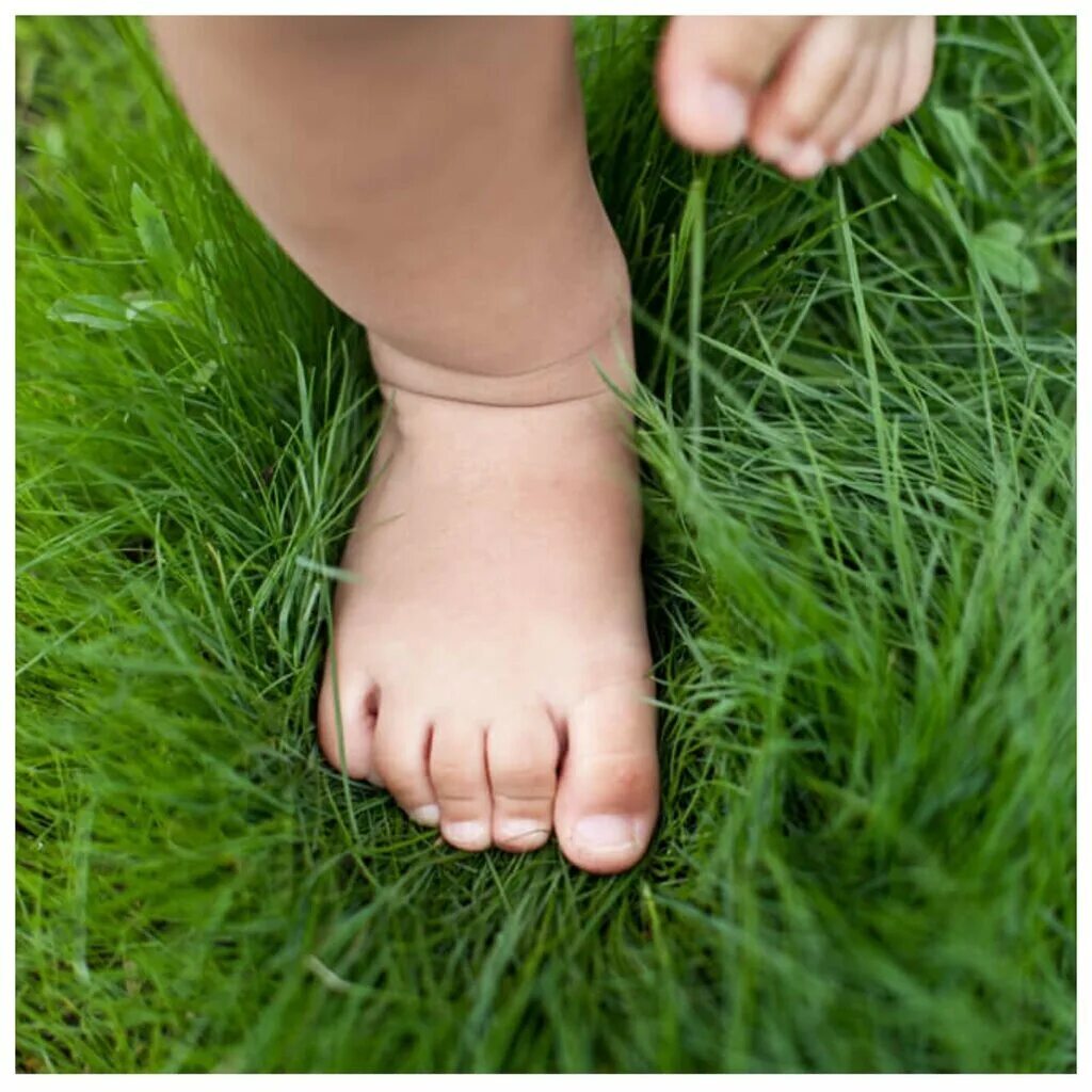 Ноги на траве. Детские стопы. Босиком.