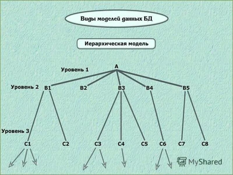 местная первичная сеть мпс. уровни узлы. лимфатические узлы шеи кт анатомия. 3. узел дерева.
