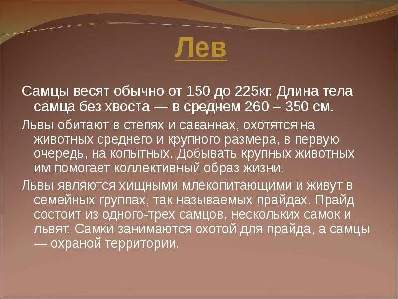 Сообщение о льве 4 класс. Рассказ про льва. лев доклад 3 класс окружающий мир. доклад про льва 2 класс. лев доклад 3 класс.