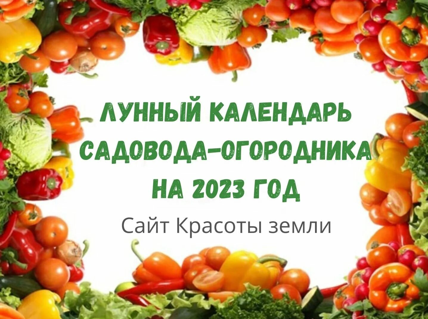 Лунный календарь садовода 2024 алтайский край. Лунна садовода и огородника. Календарь огородника на 2023 год. Календарь садовода и огородника на 2023 год. Календарь огородника на 2023 год лунный посевной.