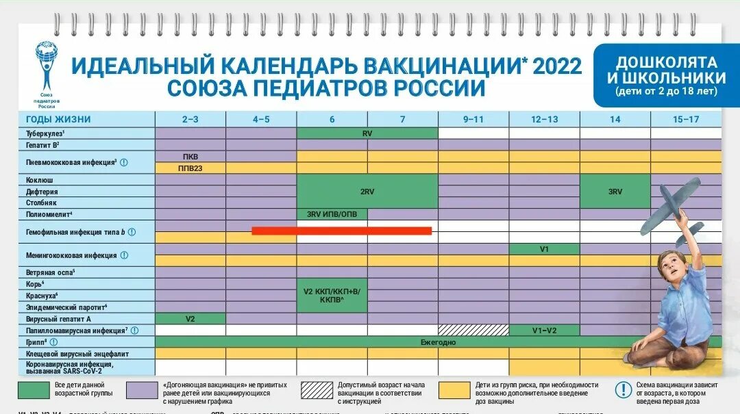 Календарь прививок 2024 детям в россии. Национальный календарь прививок 2022 для детей Россия. Национальный календарь прививок для детей в России таблица 2023 года. Национальный календарь прививок 2022 Союз педиатров России. Календарь прививок 2022 для детей до года в России.