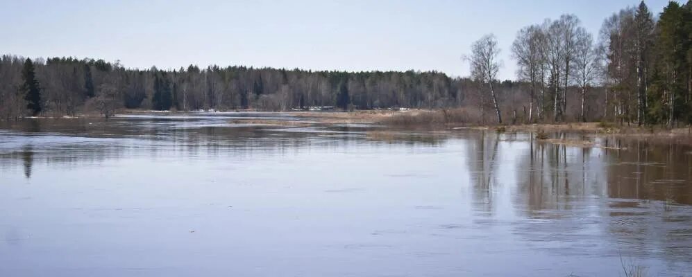 Уровень воды в стерлитамаке сегодня. Потрусово Костромская область. Река Ашкадар в Стерлитамаке фото.